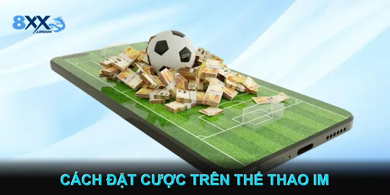 Cách đặt cược trên Thể thao IM