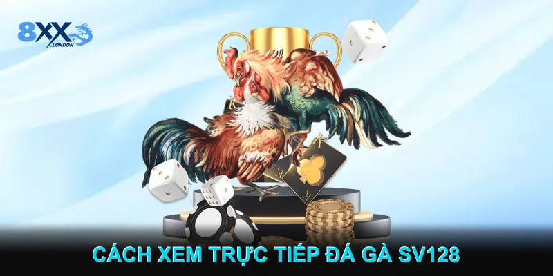 Cách Xem Trực Tiếp Đá gà SV128