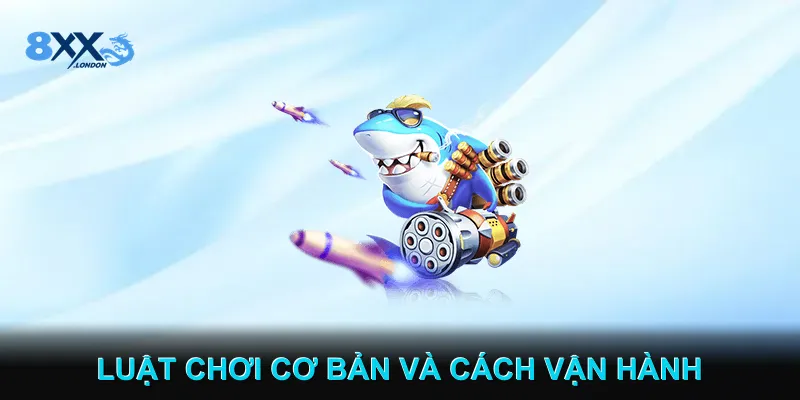 Luật chơi cơ bản và cách vận hành trò chơi